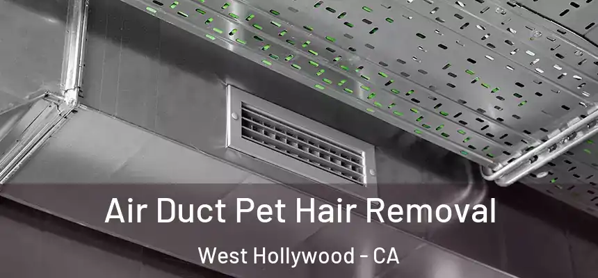  Air Duct Pet Hair Removal West Hollywood - CA