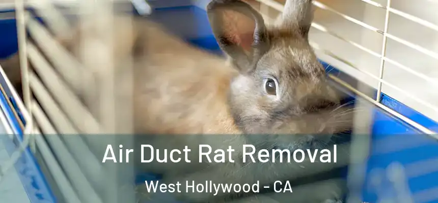 Air Duct Rat Removal West Hollywood - CA