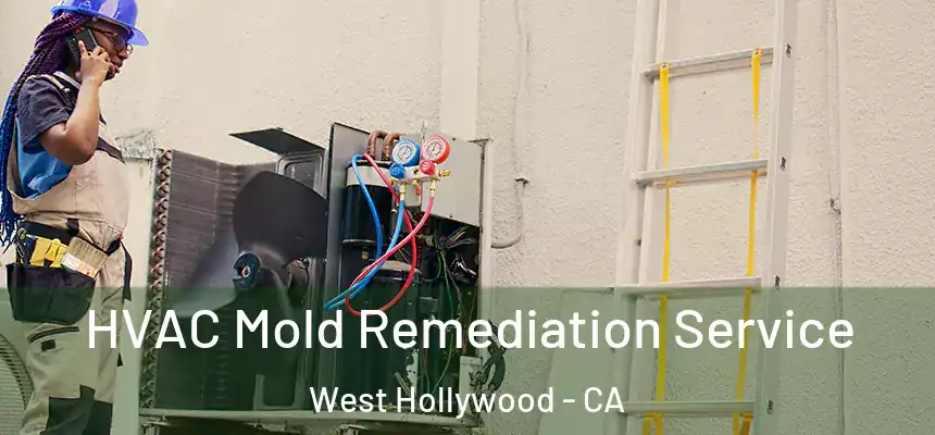  HVAC Mold Remediation Service West Hollywood - CA