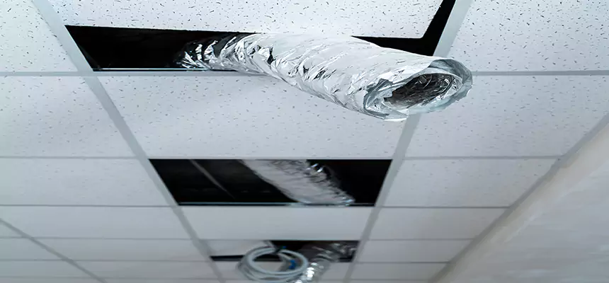 Affordable HVAC Sanitizing After Pest Removal in West Hollywood