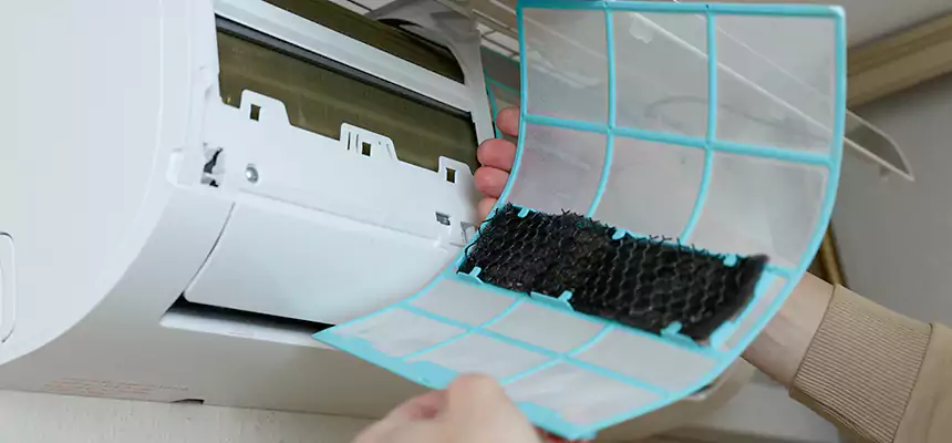 Gentle Ductwork Odor-Control Pet Dander Duct Cleaning in West Hollywood, CA