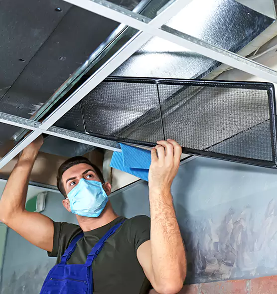 Professional Air Duct Pollen Cleaning in West Hollywood, CA
