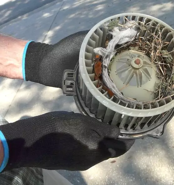 About Air Duct Rat Removal in West Hollywood, CA