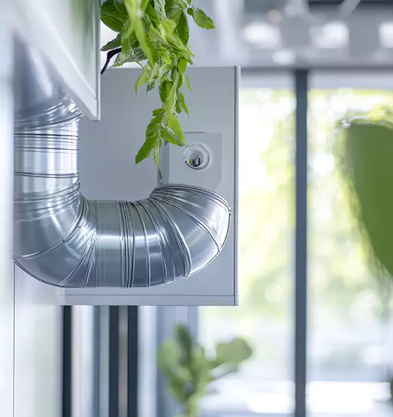 Professional Eco-Friendly Duct Cleaning Services in West Hollywood, CA