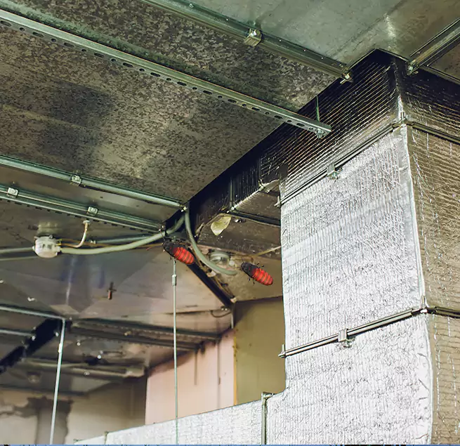 Why Homeowners & Businesses Trust Us in West Hollywood, CA?