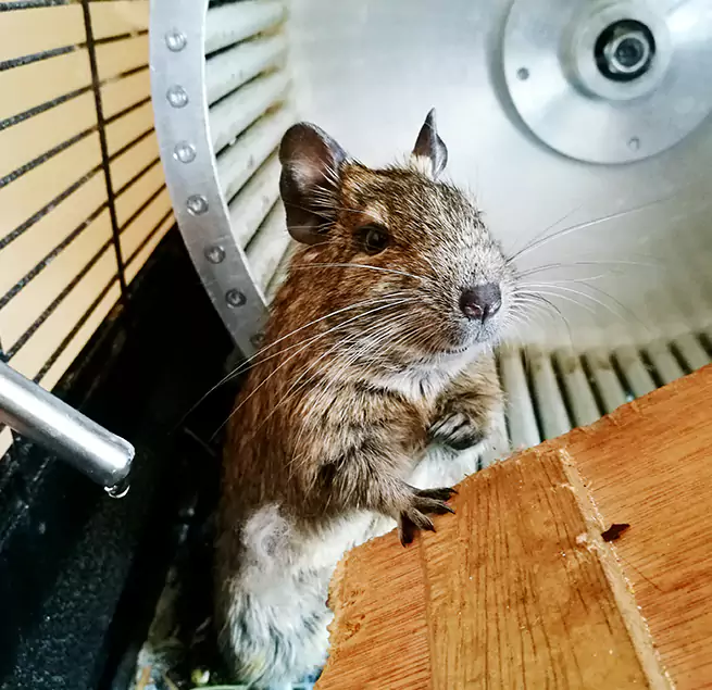 Why Homeowners & Businesses Trust Us West Hollywood, CA