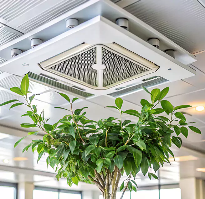 Why Homeowners & Businesses Trust Us in West Hollywood, CA